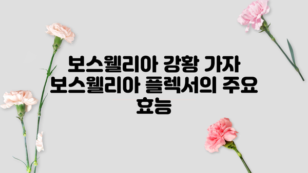 보스웰리아 강황 가자 보스웰리아 플렉서| 효능과 부작용 완벽 정리 | 관절 건강, 염증 완화, 천연 성분