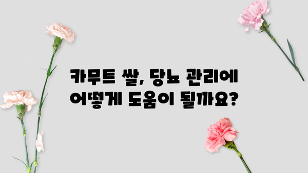 당뇨 관리에 도움되는 카무트 쌀, 맛있게 먹는 3가지 방법 | 당뇨 식단, 카무트 쌀 레시피, 건강 식단