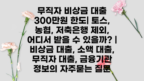 무직자 비상금 대출 300만원 한도| 토스, 농협, 저축은행 제외, 어디서 받을 수 있을까? | 비상금 대출, 소액 대출, 무직자 대출, 금융기관 정보