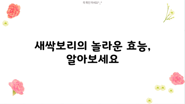 새싹보리 효능과 먹는 법| 건강과 활력을 채우는 똑똑한 선택 | 건강, 영양, 섭취방법, 효능, 부작용