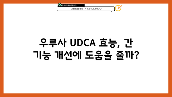 우루사 UDCA 효과| 간 건강 영양제 효능 & 주의사항 완벽 정리 | 우루사, UDCA, 간 기능 개선, 간 건강, 영양제