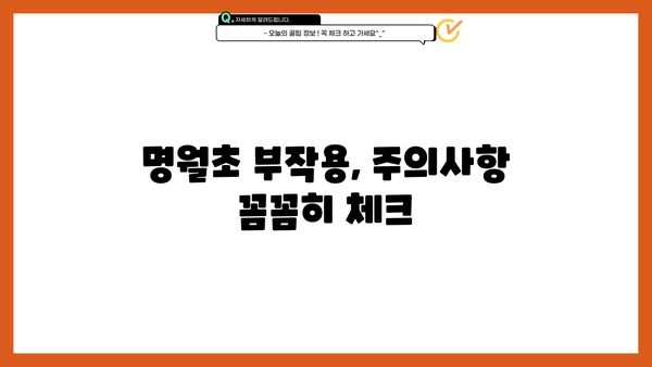 명월초, 당뇨초 효능과 먹는 방법 완벽 가이드 | 혈당 조절, 면역력 강화, 부작용, 주의사항