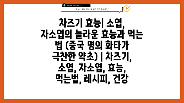 차즈기 효능| 소엽, 자소엽의 놀라운 효능과 먹는 법 (중국 명의 화타가 극찬한 약초) | 차즈기, 소엽, 자소엽, 효능, 먹는법, 레시피, 건강