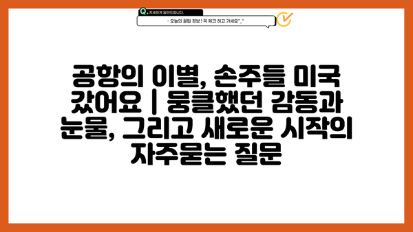 공항의 이별, 손주들 미국 갔어요 | 뭉클했던 감동과 눈물, 그리고 새로운 시작