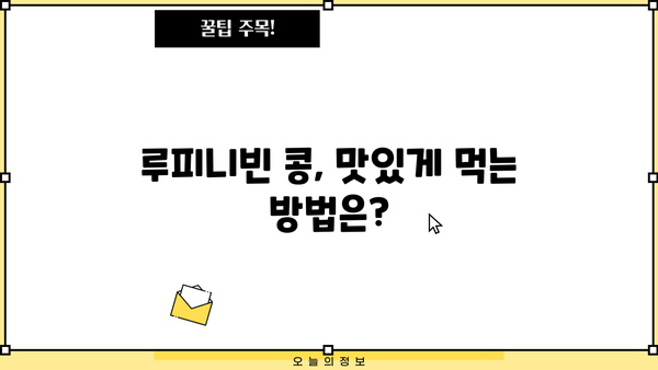 루피니빈 효능, 당뇨콩 효과와 부작용 완벽 정리 | 루피니빈 콩 먹는 법, 당뇨콩 추천