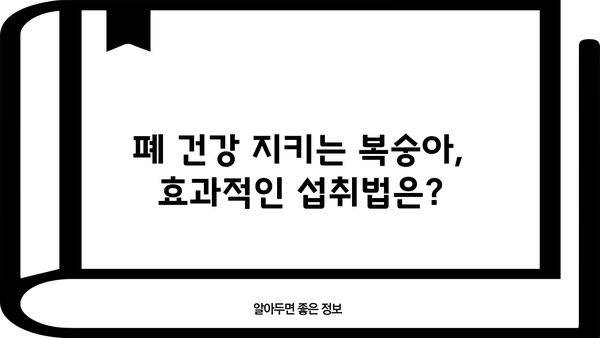 복숭아 효능, 칼로리, 폐 건강까지! 🍑 복숭아 제대로 알고 먹는 법 | 복숭아 효능, 복숭아 칼로리, 복숭아 보관, 복숭아 부작용