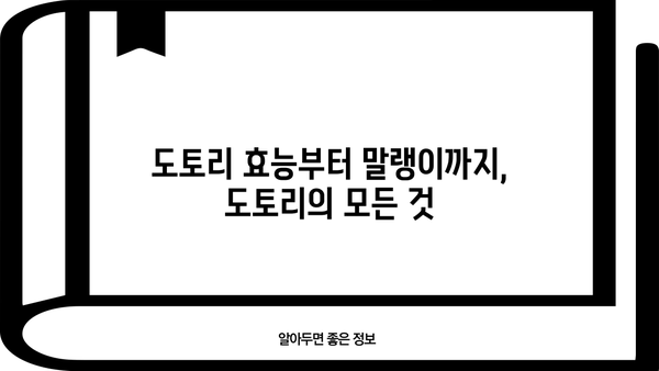 도토리 효능부터 말랭이까지! 도토리묵 맛있게 먹는 법 | 도토리 효능, 도토리묵 레시피, 도토리 말랭이