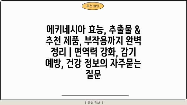 에키네시아 효능, 추출물 & 추천 제품, 부작용까지 완벽 정리 | 면역력 강화, 감기 예방, 건강 정보