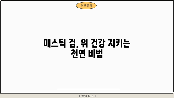 위 건강 지키는 매스틱 검의 효능과 메스틱 분말 가루 먹는 법 | 위염, 소화불량, 면역력, 건강 정보