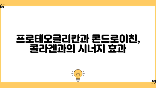 프로테오글리칸 콘드로이친 효능, 필름 추천 & 부작용 완벽 가이드 | 관절 건강, 연골, 콜라겐, 건강기능식품