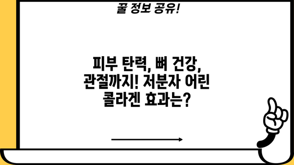 저분자 어린 콜라겐, 효과는? 부족하면? 부작용은? | 섭취 가이드, 콜라겐 종류, 효능 비교