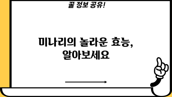 미나리 효능과 미나리즙 먹는 법| 건강을 위한 완벽 가이드 | 미나리 효능, 미나리즙, 미나리 레시피, 건강 음료