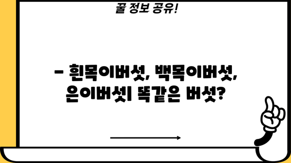 흰목이버섯, 백목이버섯, 은이버섯 효능 & 먹는 법 총정리 | 건강, 맛, 레시피