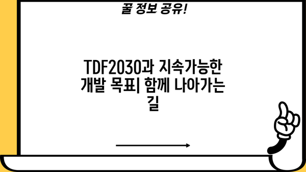 TDF2030 이해하기| 목표, 전략, 그리고 실행 | TDF, 2030 전략, 지속가능한 개발 목표