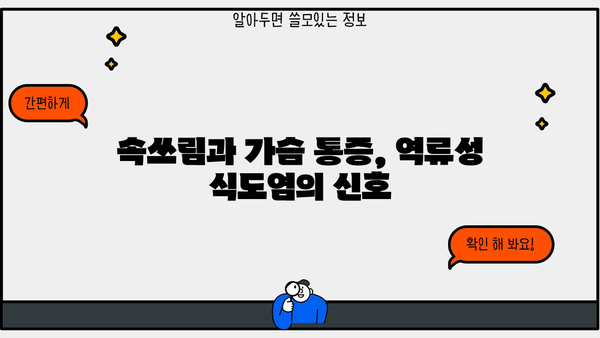 역류성 식도염, 증상과 치료 방법 완벽 가이드 | 속쓰림, 가슴 통증, 식도염 해결 팁