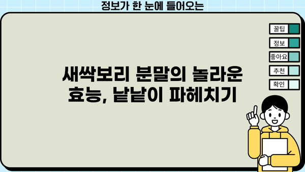 새싹보리 분말, 효능 제대로 누리고 부작용은 줄이는 먹는 법 | 건강, 섭취 가이드, 부작용, 효과