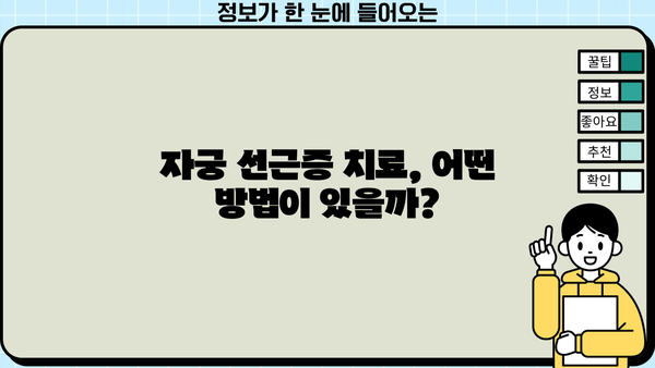 자궁 선근증, 증상부터 치료, 수술까지 완벽 가이드 | 자궁 선근증 증상, 자궁 선근증 치료, 자궁 선근증 수술