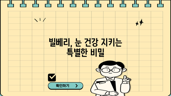 빌베리 효능 & 빌베리 종자유 추천 | 눈 건강 지키는 최고의 선택 | 빌베리, 안토시아닌, 블루베리, 눈 피로, 시력 개선