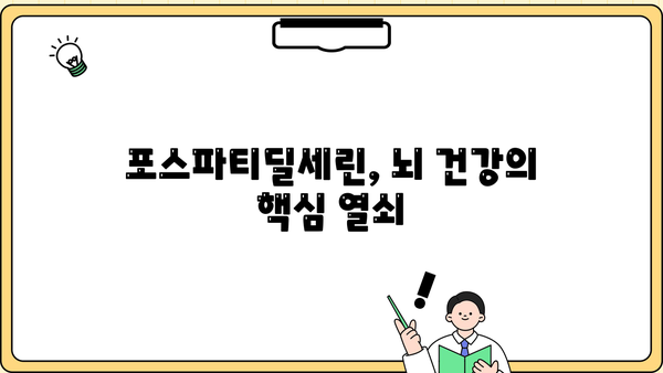 포스파티딜세린 효능| 뇌 건강을 위한 똑똑한 선택 | 뇌영양제, 기억력, 집중력, 추천