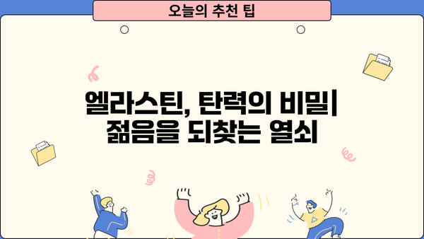 엘라스틴의 모든 것| 유래, 효능, 먹는 방법, 뜻, 추천, 부작용 | 콜라겐, 피부 탄력, 건강, 영양
