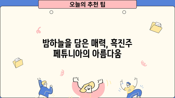 페튜니아 흑진주(미드나이트 골드) 완벽 가이드| 꽃말, 효능, 키우는 방법 | 페튜니아, 흑진주, 미드나이트 골드, 재배 팁