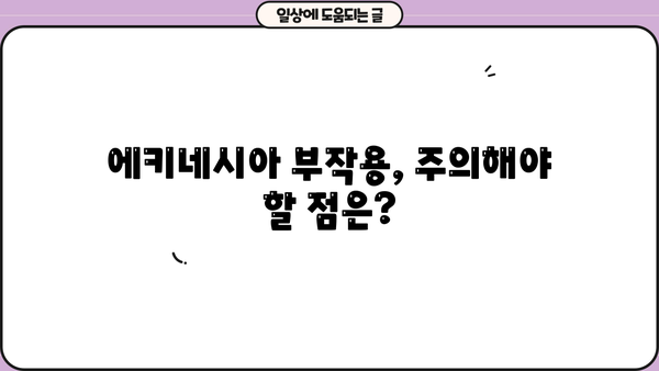 에키네시아 효능, 추출물 & 추천 제품, 부작용까지 완벽 정리 | 면역력 강화, 감기 예방, 건강 정보