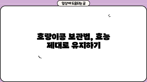 무릎 건강 지키는 호랑이콩| 효능, 요리법, 보관법까지 완벽 가이드 | 관절 건강, 무릎 통증, 콩 효능, 레시피