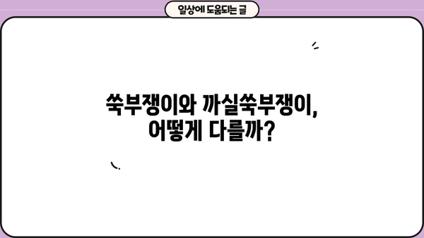 쑥부쟁이 효능과 꽃말, 까실쑥부쟁이 비교 | 아름다움과 약효, 전설까지 | 가을 야생화, 쑥부쟁이 효능, 까실쑥부쟁이 차이