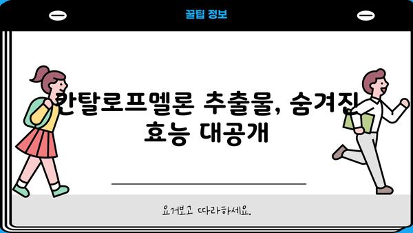 칸탈로프멜론의 놀라운 효능| 섭취부터 추출물, 부작용까지 | 칸탈로프멜론 효능, 칸탈로프멜론 추출물, 칸탈로프멜론 부작용, SOD 효능, 건강 정보