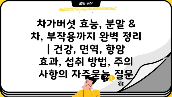 차가버섯 효능, 분말 & 차, 부작용까지 완벽 정리 | 건강, 면역, 항암 효과, 섭취 방법, 주의 사항