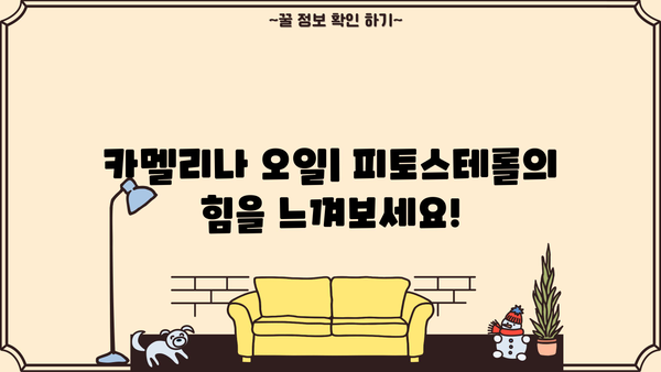 카멜리나 오일의 놀라운 효능| 피토스테롤 성분의 비밀 | 피부 건강, 콜레스테롤, 항산화