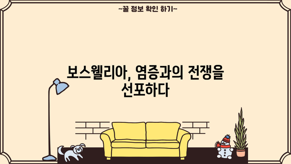 보스웰리아 효능 제대로 누리는 법| 가루 섭취, 부작용 없이 안전하게 | 보스웰리아, 염증, 관절 건강, 섭취 방법, 부작용