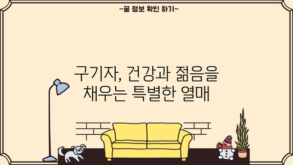 구기자의 놀라운 효능과 맛있는 차, 분말 먹는 법 완벽 가이드 | 건강, 면역력, 피부, 구기자 차 효능, 구기자 분말 활용법