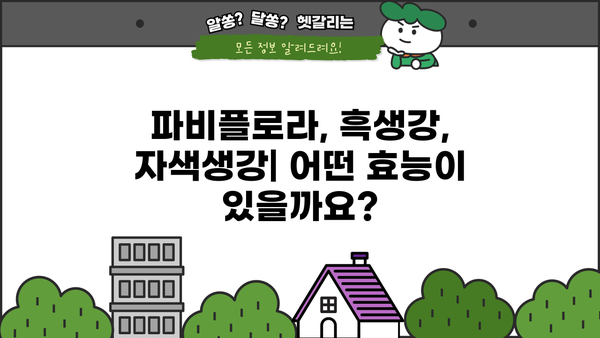 파비플로라 흑생강 & 자색생강| 효능, 부작용, 먹는법 총정리 | 건강, 면역, 항염, 혈액순환, 파비플로라 효능, 흑생강 효능, 자색생강 효능