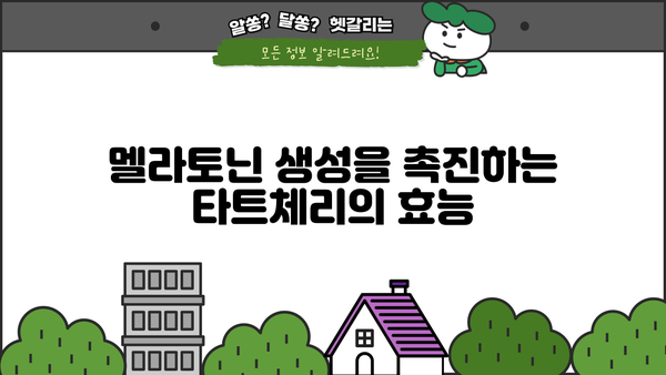 숙면을 위한 선택! 타트체리 효능과 멜라토닌 생성의 비밀 | 수면 개선, 멜라토닌, 타트체리 효능, 건강