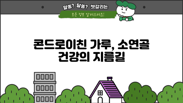 소연골 건강을 위한 선택! 콘드로이친 가루 효능, 추천 성분 & 제품 비교 가이드 | 관절 건강, 연골 재생, 부작용, 섭취 방법