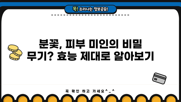 분꽃, 화장품 원료로 피부 미인 되는 비결? 효능, 부작용, 꽃말까지 파헤치기 | 분꽃 효능, 분꽃 부작용, 분꽃 화장품, 분꽃 꽃말