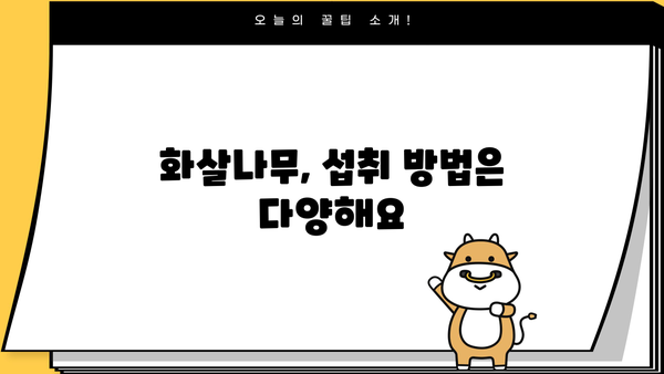 화살나무 효능과 먹는 법| 건강에 좋은 효과와 활용법 총정리 | 화살나무, 약용, 차, 섭취 방법, 부작용