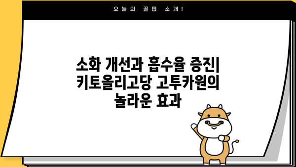 키토올리고당 고투카원| 효능과 부작용 완벽 가이드 | 건강, 면역, 장 건강, 프리바이오틱스