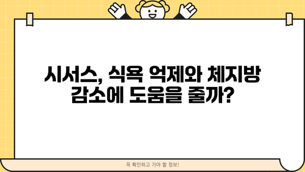 시서스 다이어트, 효과적인 감량을 위한 시서스 가루 효능과 주의사항 | 시서스, 다이어트, 부작용, 건강