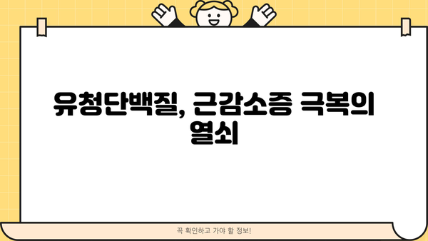 근감소증 예방 및 개선에 효과적인 유청단백질, 섭취 가이드 | 근감소증, 단백질 보충, 건강 관리, 운동