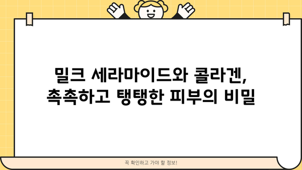 밀크 세라마이드와 콜라겐의 환상적인 만남| 피부 탄력과 보습의 비밀 | 밀크 세라마이드, 콜라겐, 피부 개선, 보습, 탄력