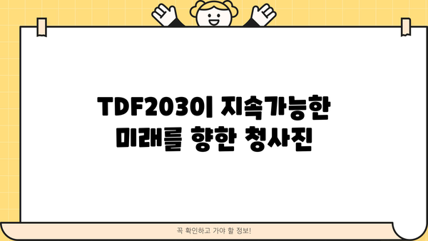 TDF2030 이해하기| 목표, 전략, 그리고 실행 | TDF, 2030 전략, 지속가능한 개발 목표