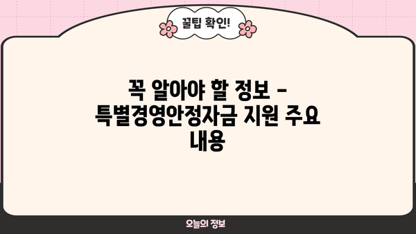 소상공인 특별경영안정자금 신청 가이드 | 자격, 신청 방법, 지원 대상, 한도, 금리, 기간, 서류