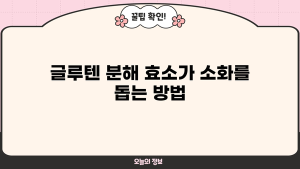 글루텐 분해 효소| 효능, 글루텐 프리 뜻, 소화 효소 부작용 완벽 가이드 | 글루텐 민감성, 소화 개선, 건강 정보
