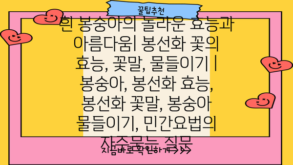 흰 봉숭아의 놀라운 효능과 아름다움| 봉선화 꽃의 효능, 꽃말, 물들이기 | 봉숭아, 봉선화 효능, 봉선화 꽃말, 봉숭아 물들이기, 민간요법