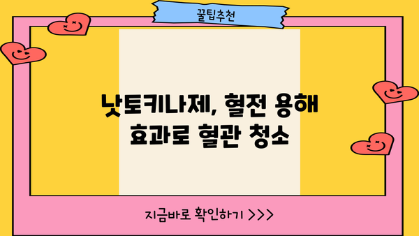 혈관 건강 지키는 낫토의 힘! 낫토 나토키나제 효능 제대로 알아보기 | 혈관 건강, 낫토 효능, 나토키나제, 건강 식품