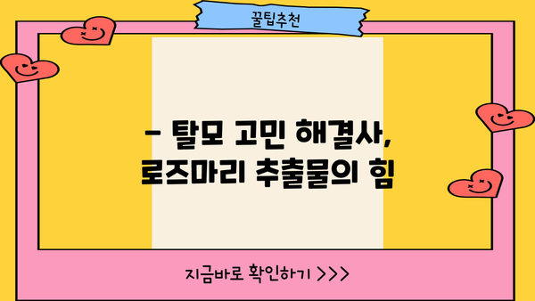 로즈마리 추출물의 놀라운 효능 & 주의해야 할 부작용 | 건강, 피부, 탈모, 식품, 주의사항