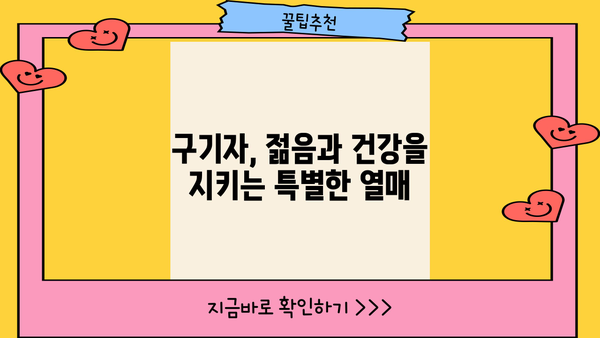 구기자의 효능과 구기자차 만드는 법| 건강하게 즐기는 구기자의 모든 것 | 구기자 효능, 구기자차 레시피, 건강 음료