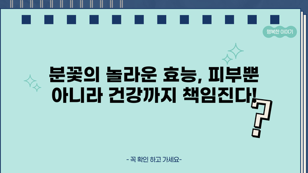 분꽃, 화장품 원료로 피부 미인 되는 비결? 효능, 부작용, 꽃말까지 파헤치기 | 분꽃 효능, 분꽃 부작용, 분꽃 화장품, 분꽃 꽃말